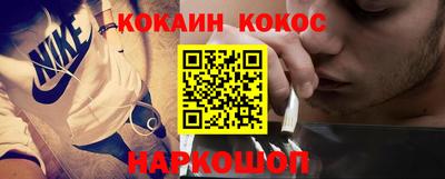 шишки Изобильный