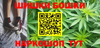 шишки Изобильный