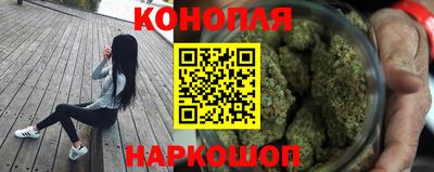 шишки Изобильный
