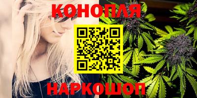 гидропоника Ирбит