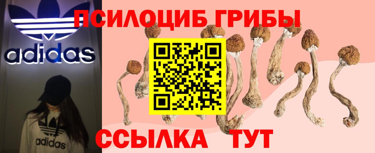 Галлюциногенные грибы MAGIC MUSHROOMS  Вход с VPN  Кыштым 